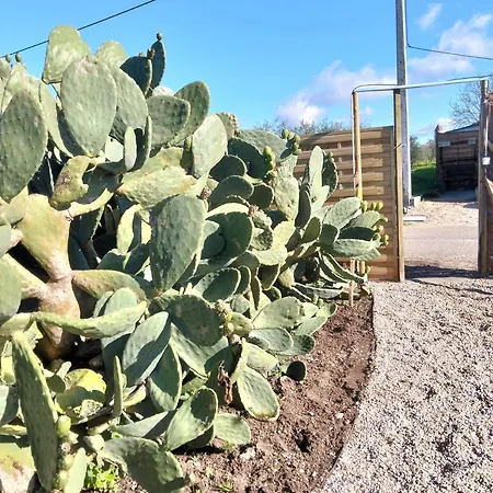 Casa rural Recanto Do Pinhal E Mar
