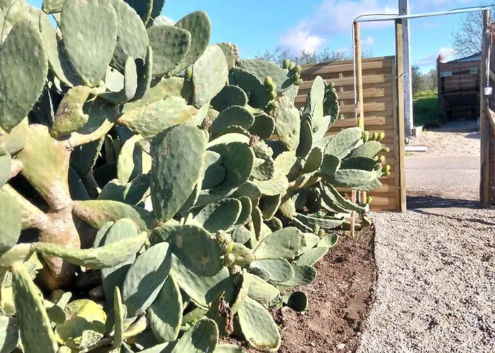 Venkovský dům Recanto Do Pinhal E Mar